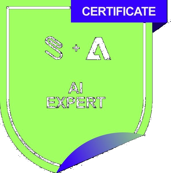 PMI-RMP Authorised Instructor